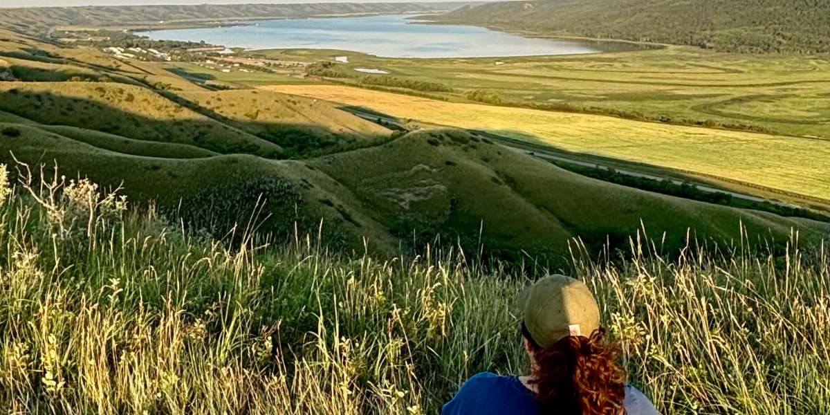 The Vacation Conundrum - Family Trips and the Illusion of Relaxation